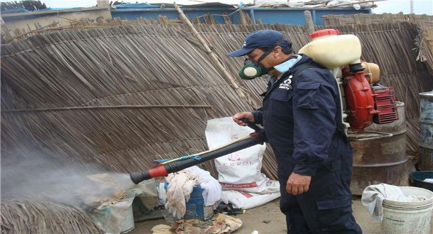 18dengue