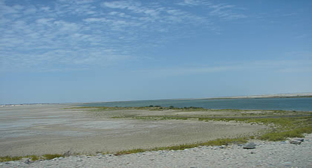 13estuario