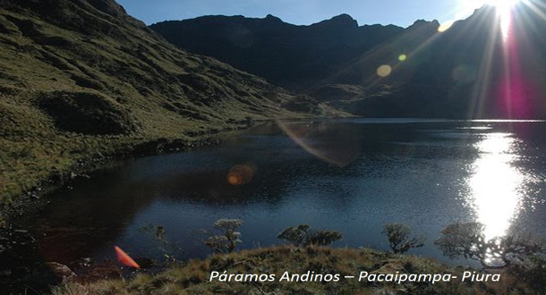15paramos