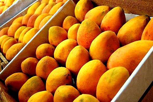 11mango