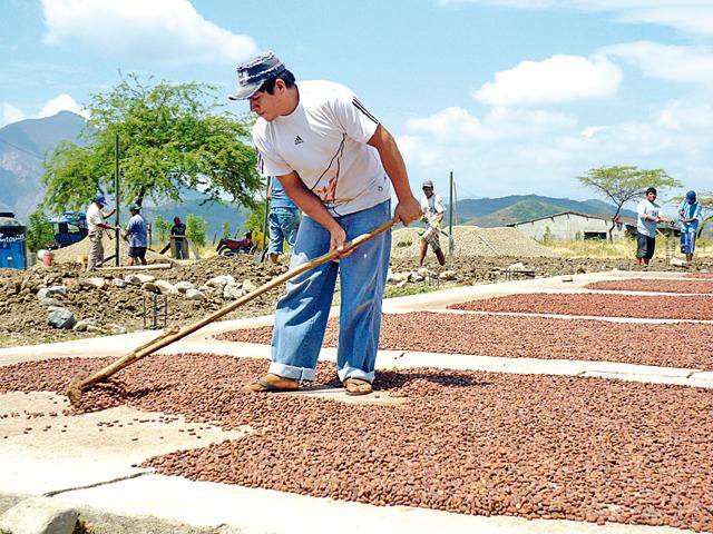 14sierraexportadora
