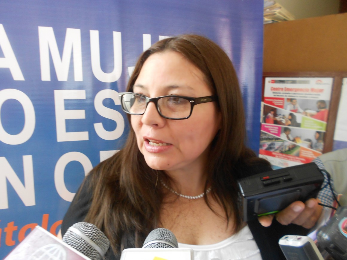 viceministramujer