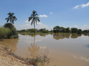 cultivosinundadosbajopiura