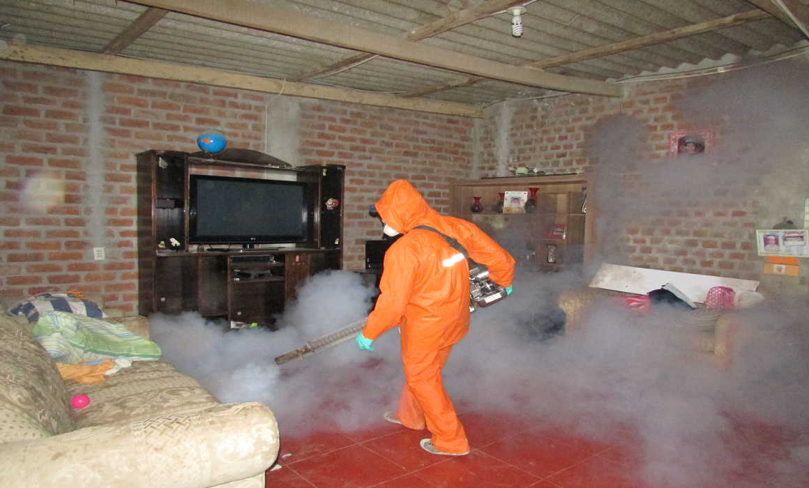 denguefumigacionmalation