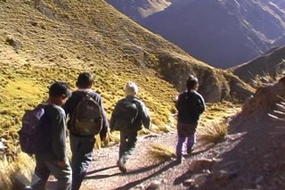 escolarescaminan