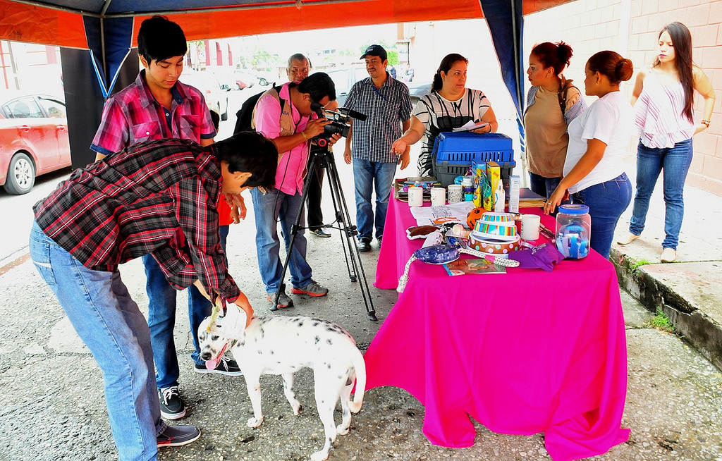 feria animalitos