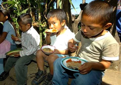 seguridad nutricional