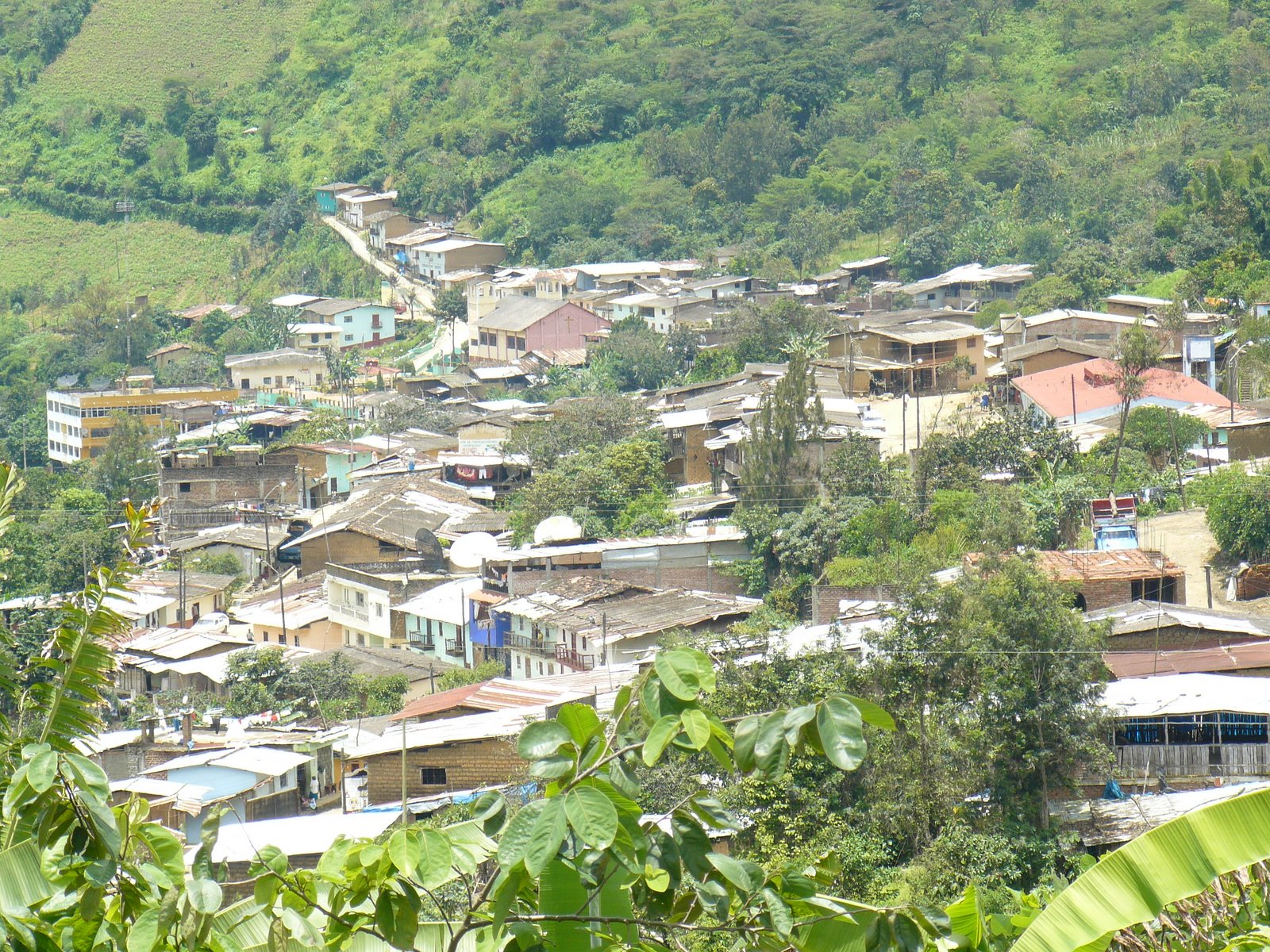 Montero