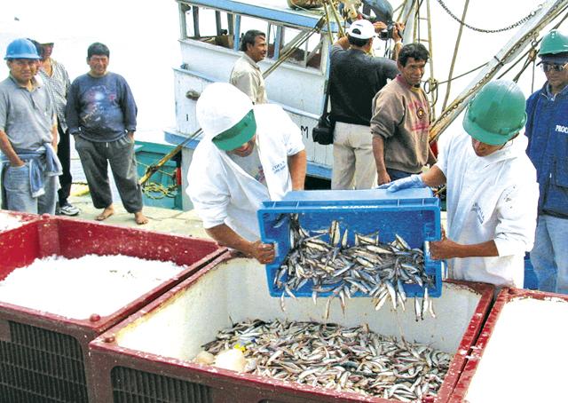 anchoveteros