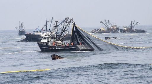 pesca industrial