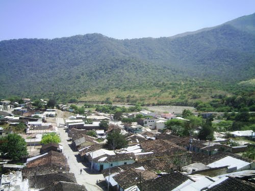 suyo