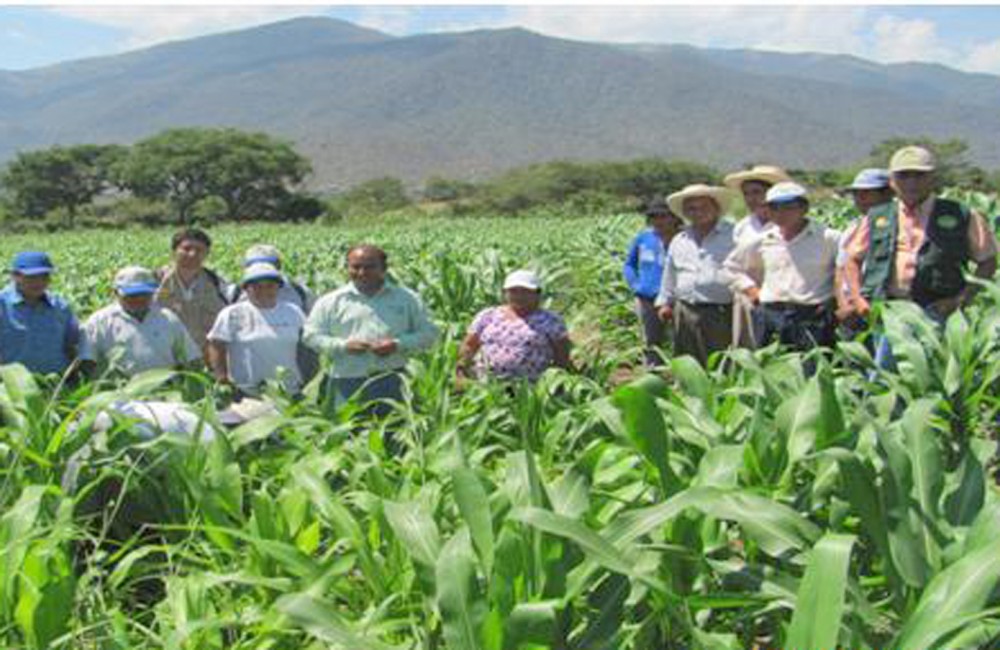 productores agrarios