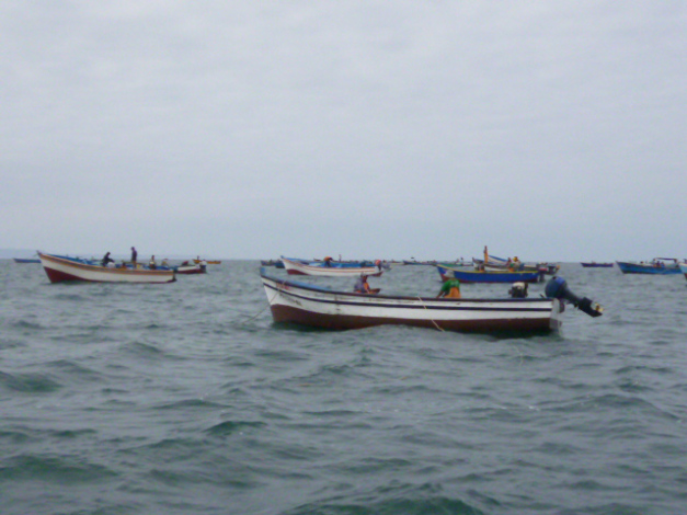 sechura mar