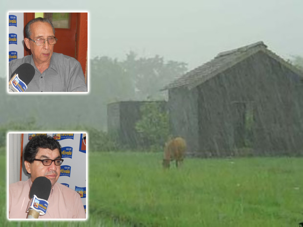 lluvia especialistas