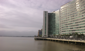 rio guayas 02