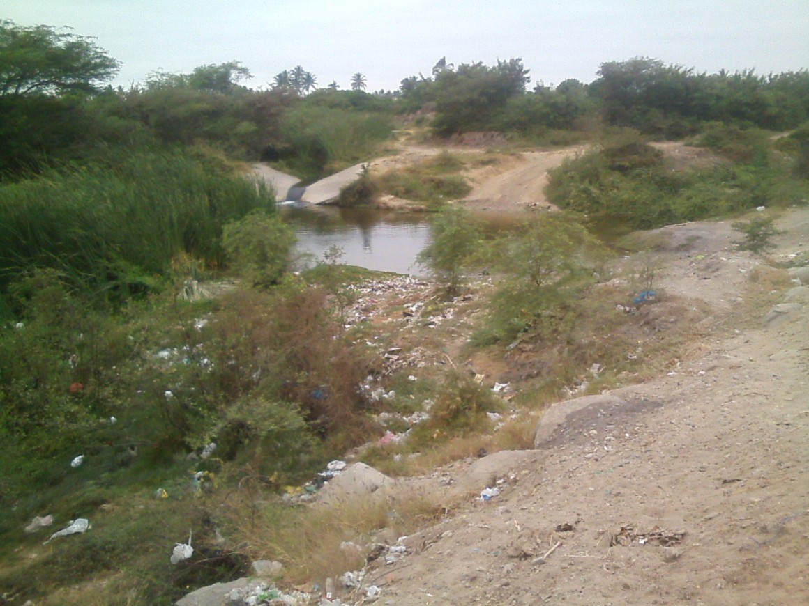 boquerón de Nuñez