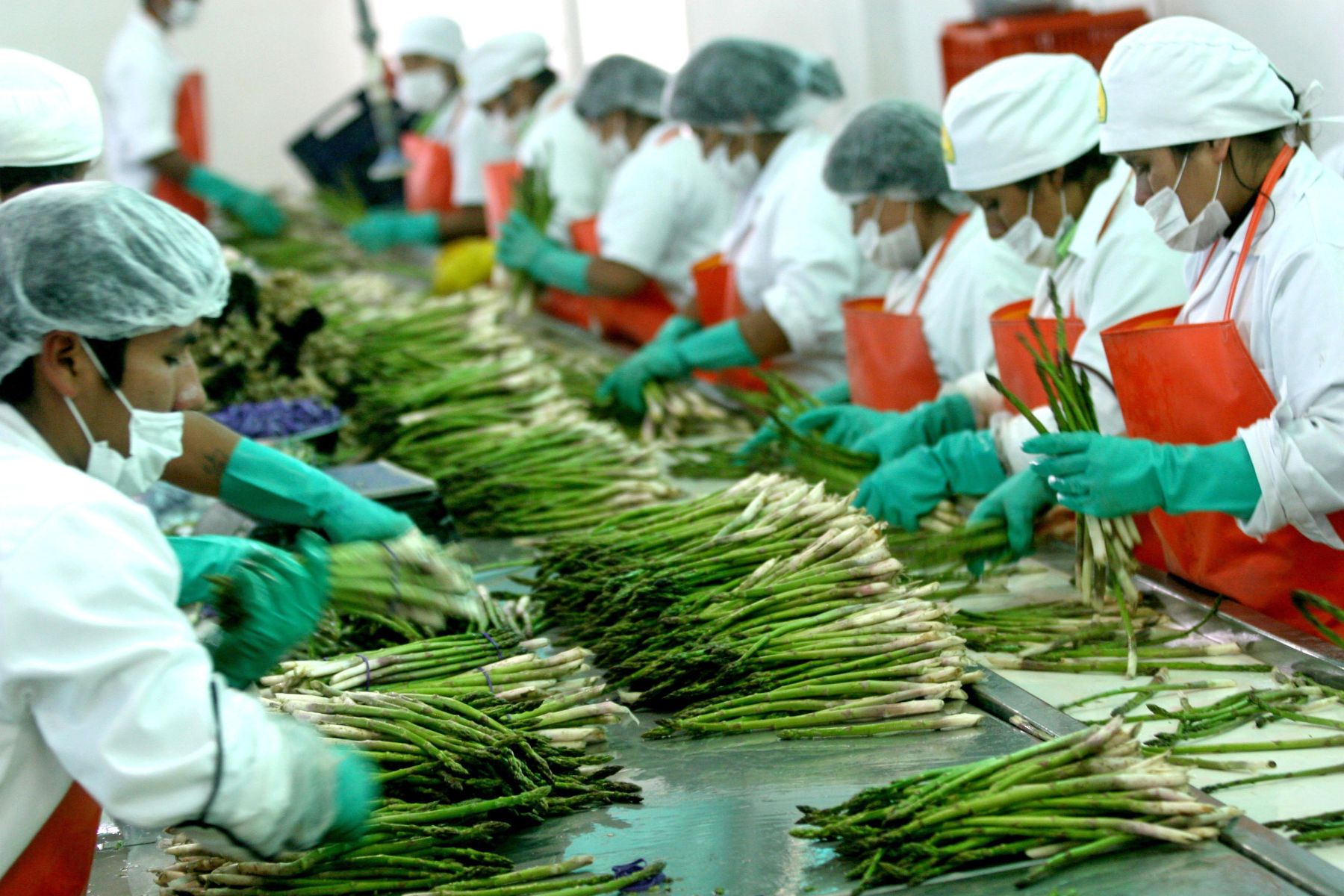 agroexportacion