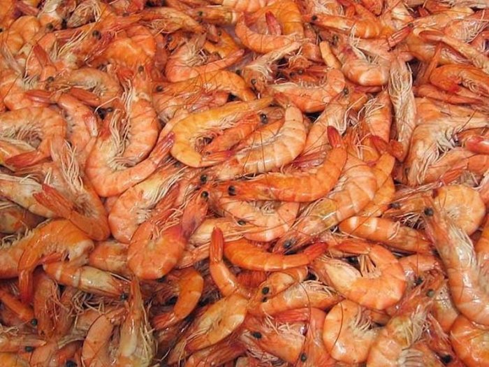 langostinos 02