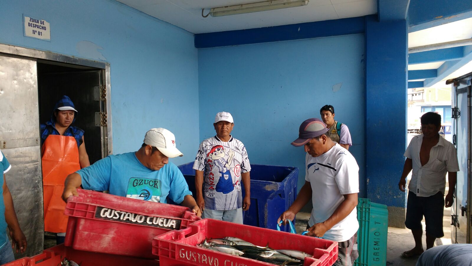 caballa chica