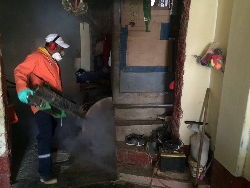 fumigación letirá