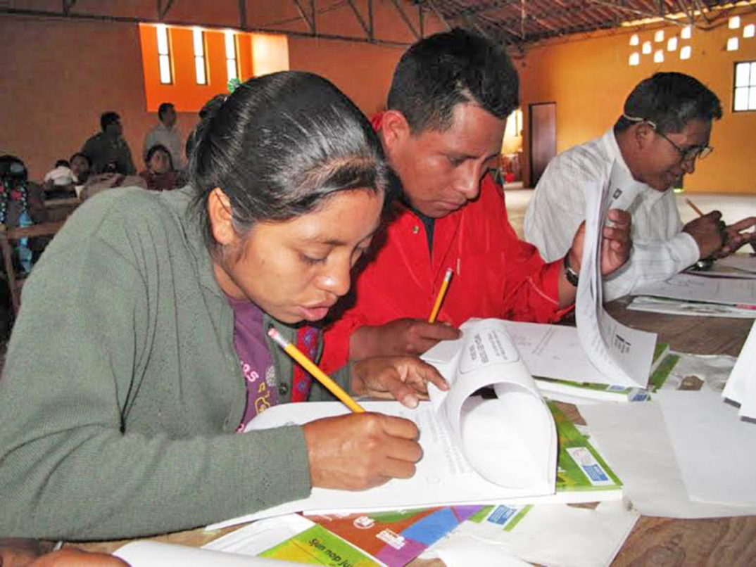 adultos estudian