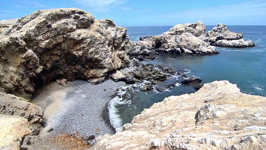 isla Foca 2