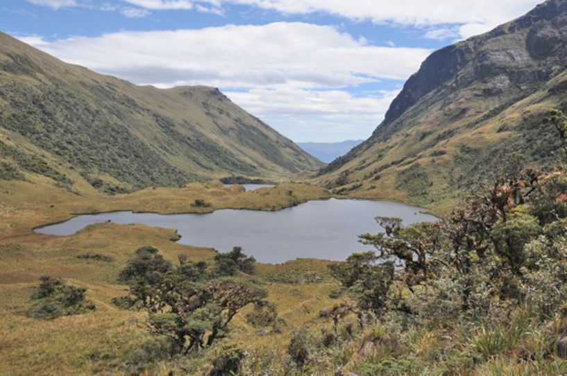 laguna la cruz pacaipampa