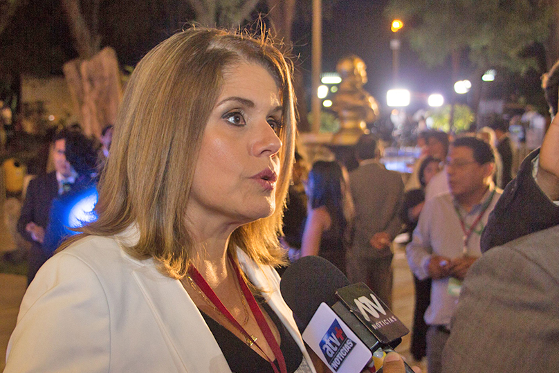 meche araoz