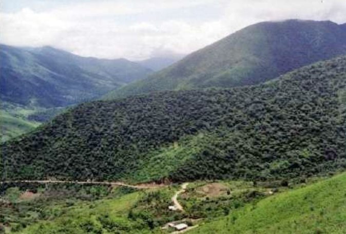 arraypite pingola