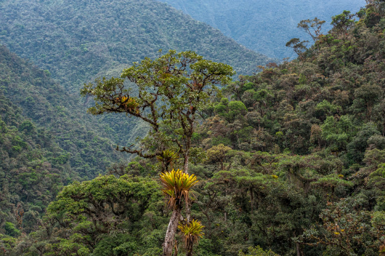 El área de conservación Chicuate-Chinguellas es parte del territorio de la comunidad campesina Segunda y Cajas, con una población de 4 900 habitantes.