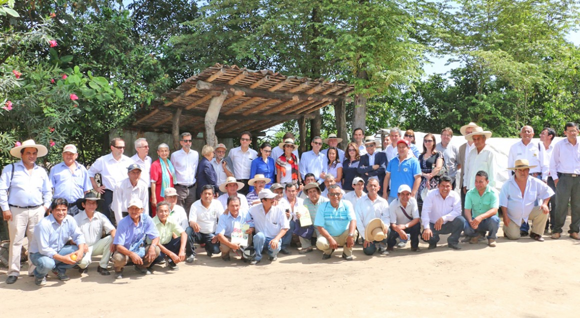 embajadores UE