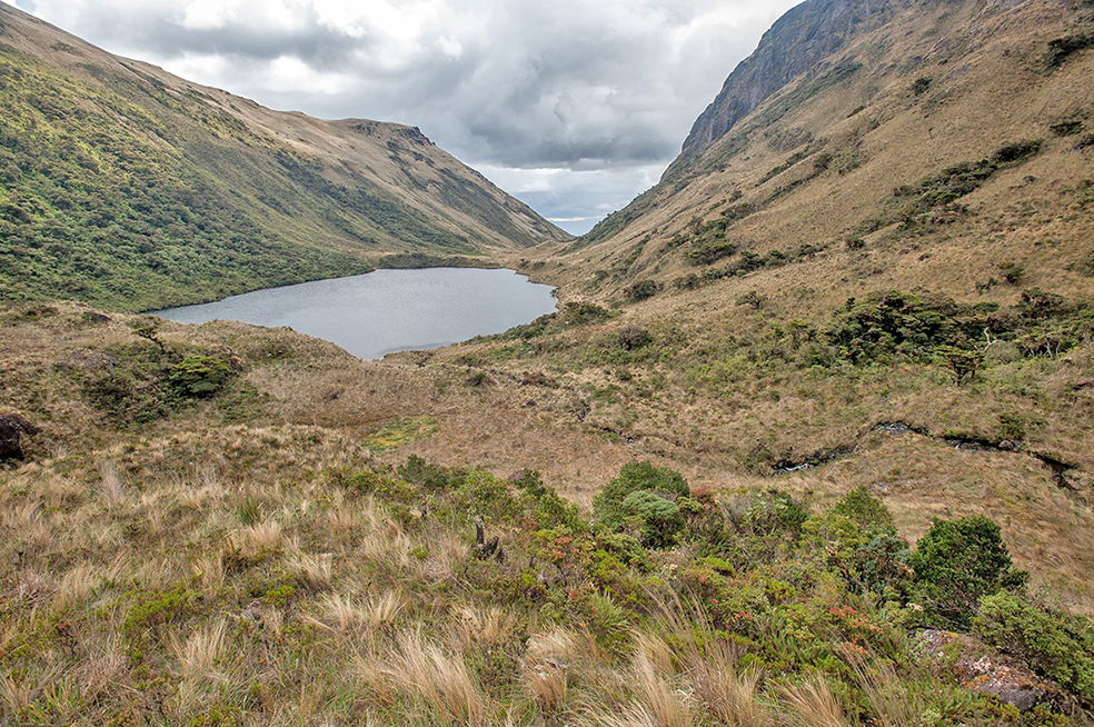 fondo quiroz chira