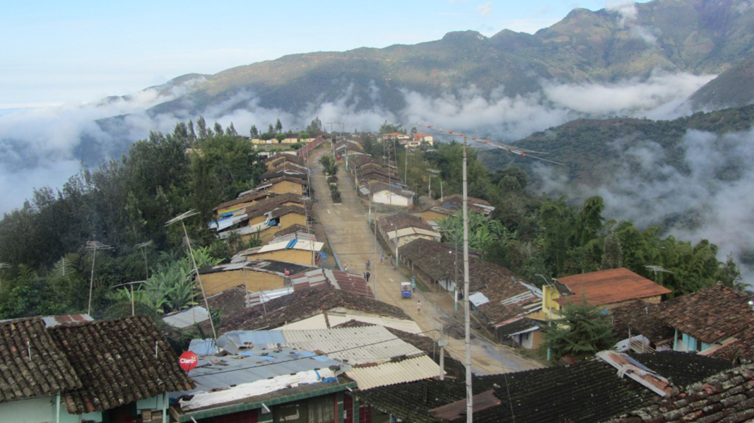 yamango panorámica