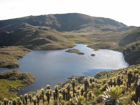 Sierra piurana