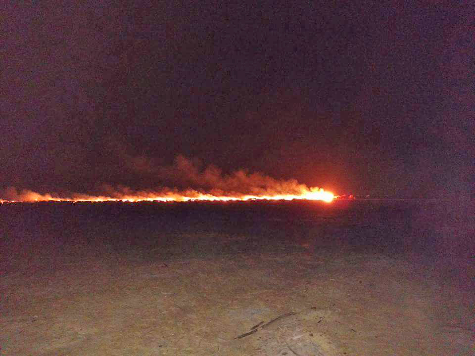 quema_caña_noche
