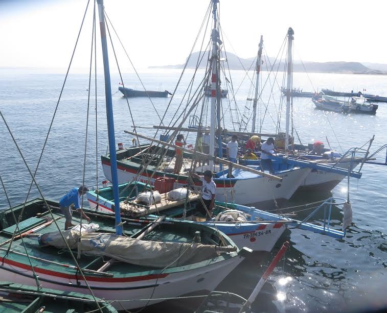 barcos