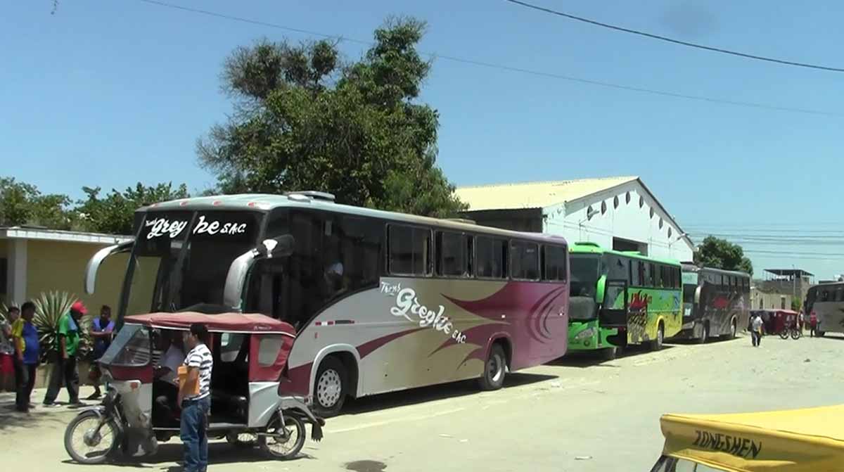 buses_gechisa