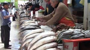 pescado