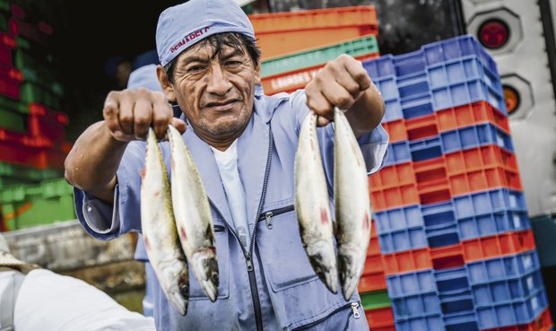 pesca-noticia-749617-1