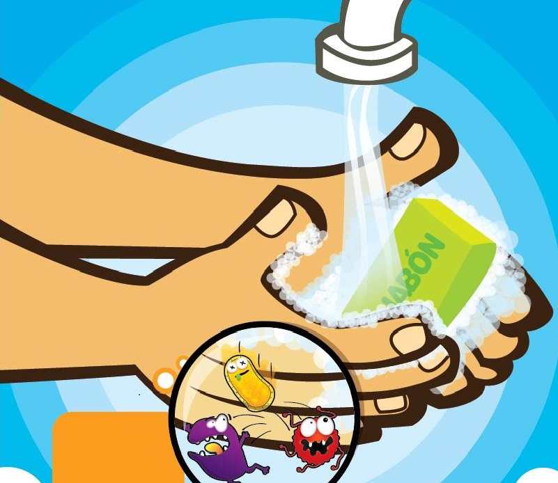 bacterias