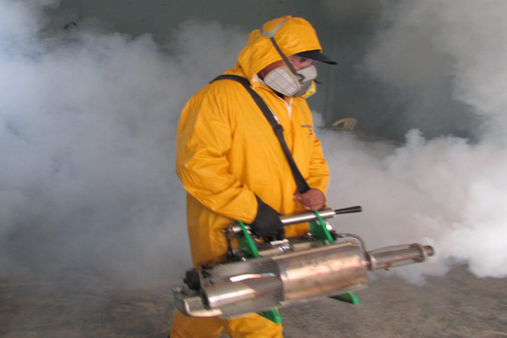 fumigar