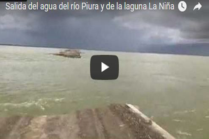 la niña