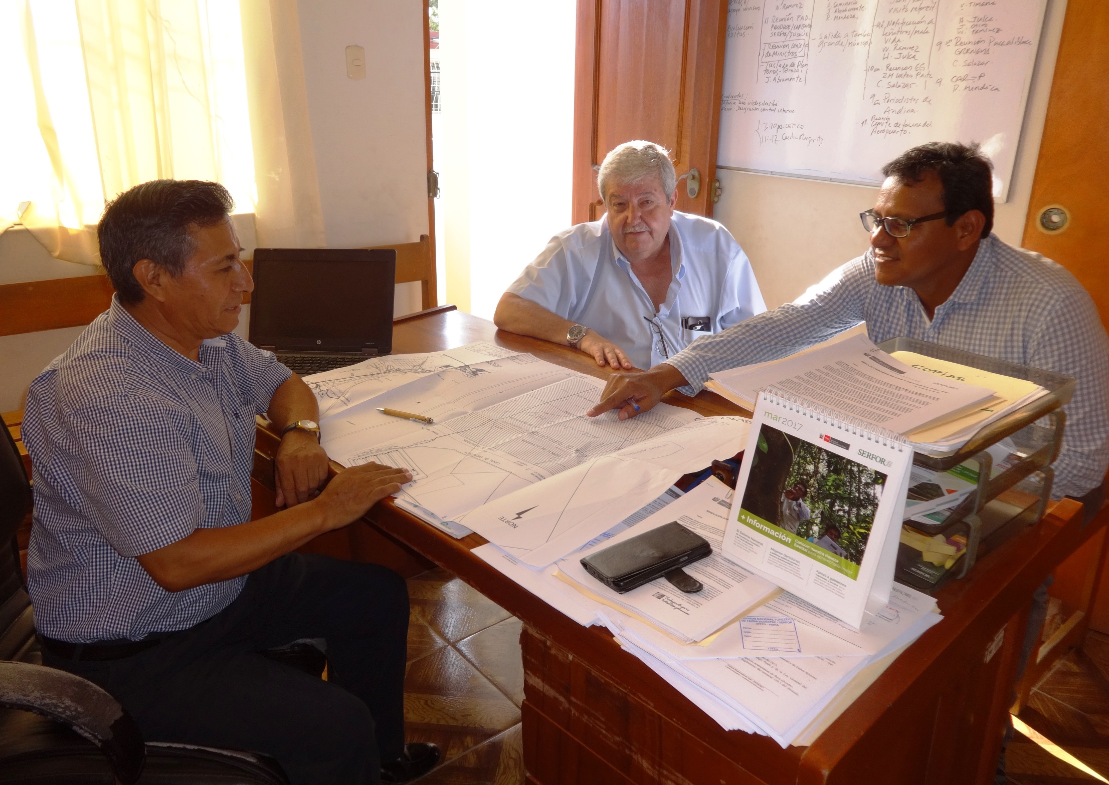 Reunión ZED