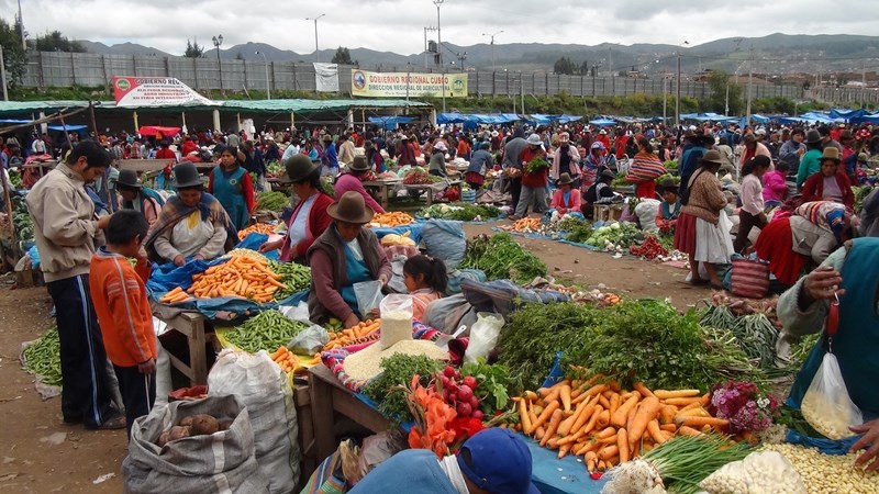 mercado campesino 02