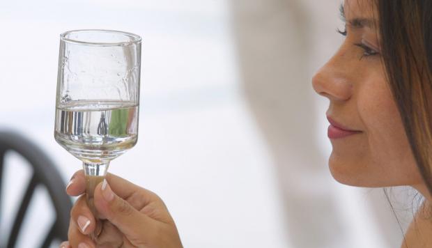 pisco