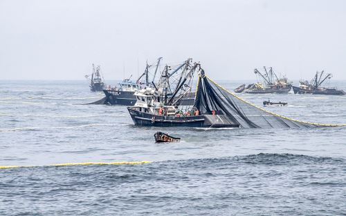pesca