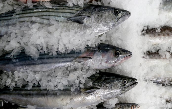 ¿Cómo congelar el pescado para que no pierda sus propiedades