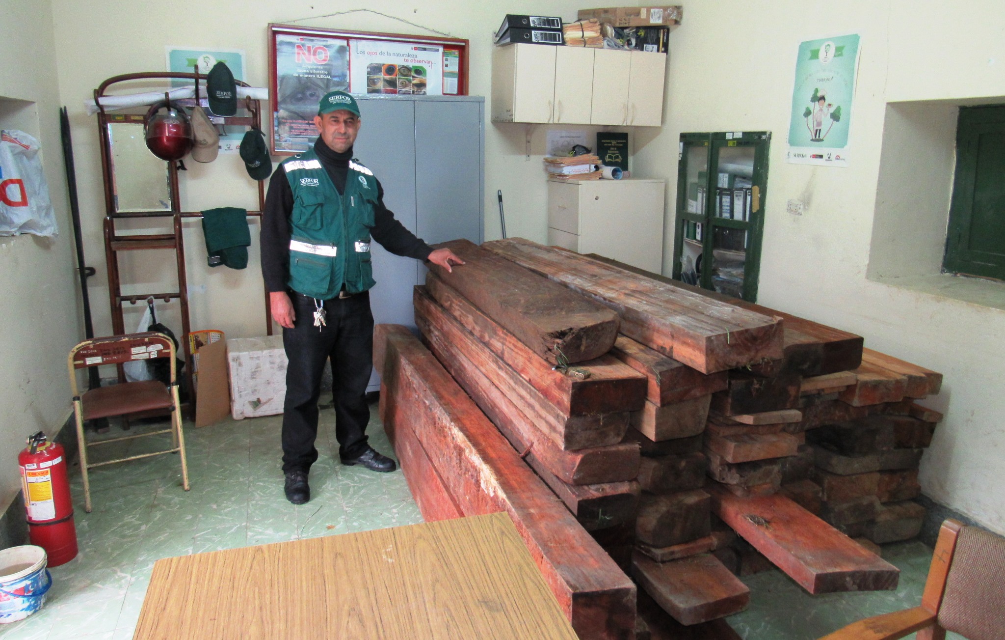 madera de romerillo en Huancabamba Cutivalú Piura