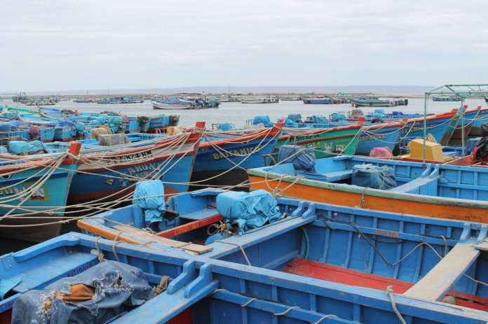 embarcaciones-pescadores-sechura