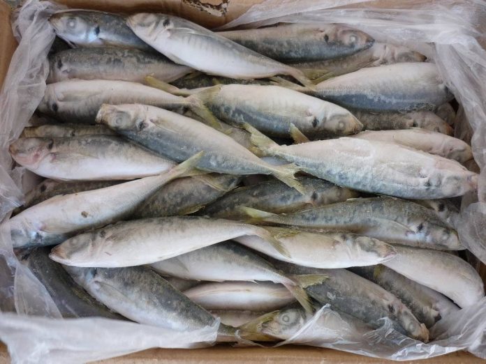 importaciones-especies-pesqueras